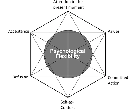 The ACT hexaflex with the 6 core processes